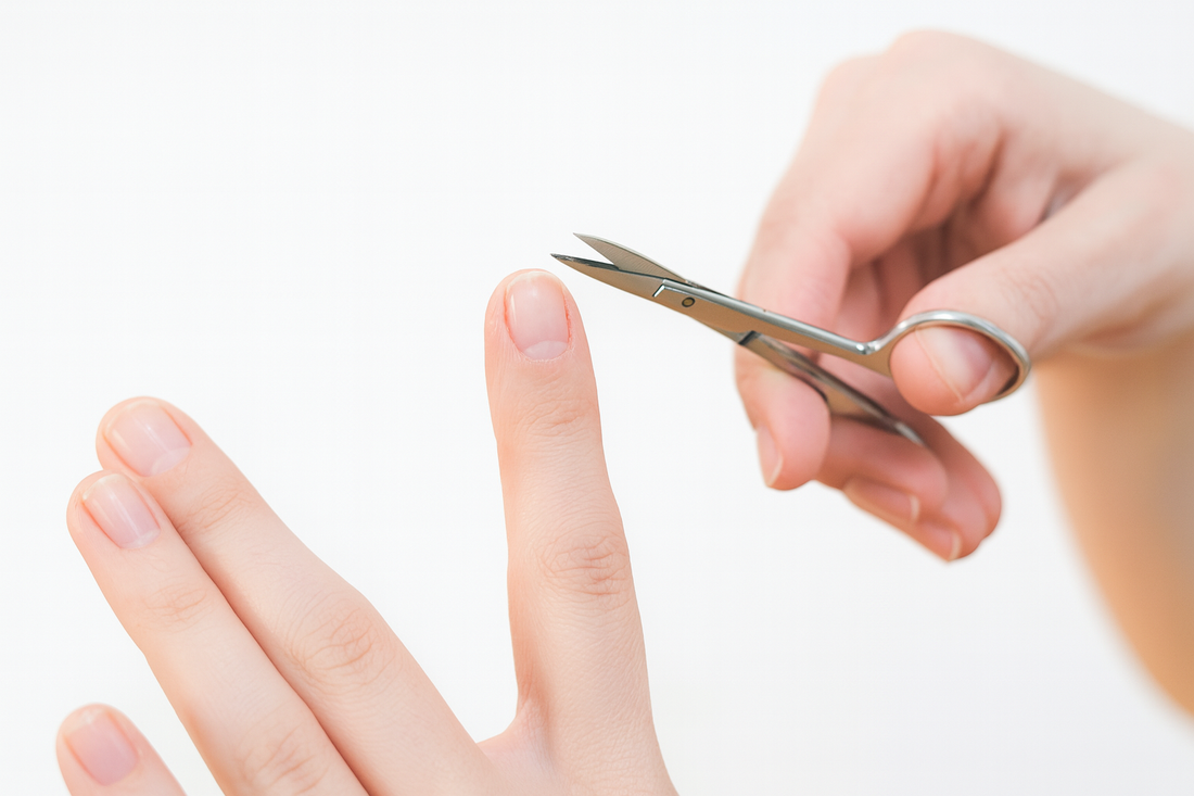 Die beste Hautschere