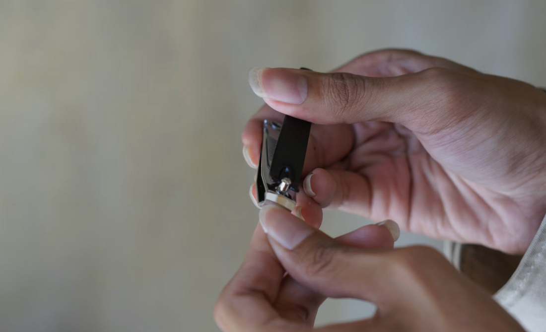 Perfekt gepflegte Nägel: Alles, was du über Nagelknipser wissen solltest