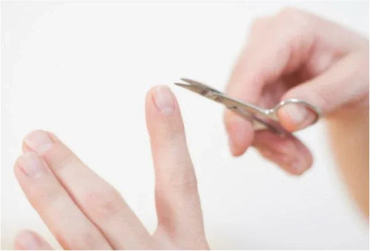 Die beste Nagelschere