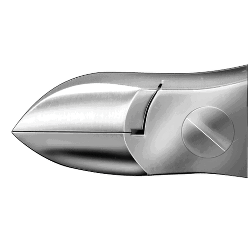 AESCULAP Nagelzange HF241R – Detailansicht