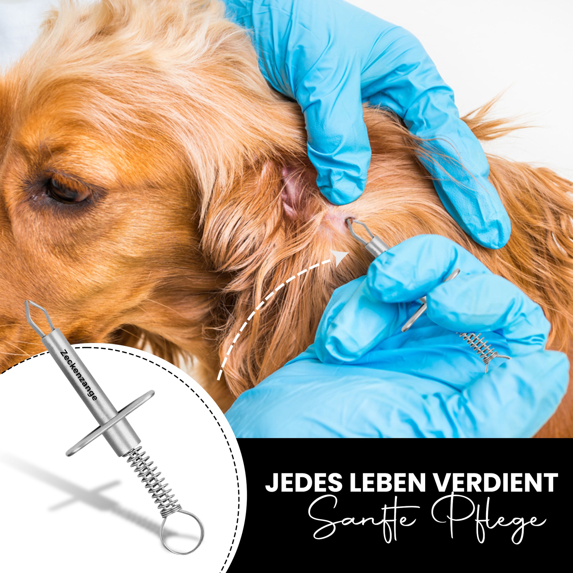 Zeckenzange mit Haltebuegel - rostfreier Edelstahl - ideal geeignet für Haustiere